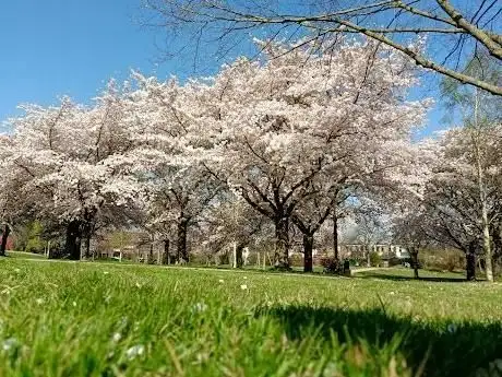 Photo de Viersener Jubiläumsgarten