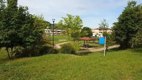 Photo de Parco comunale salvano