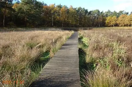 Photo de De Schans Van Gerhees