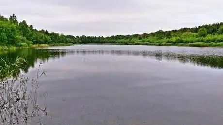 Photo de Looster Plassen