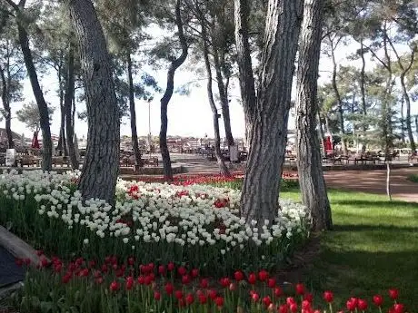 Photo de Kepez Belediyesi Sosyal Tesisler Ve Mesire Alanı
