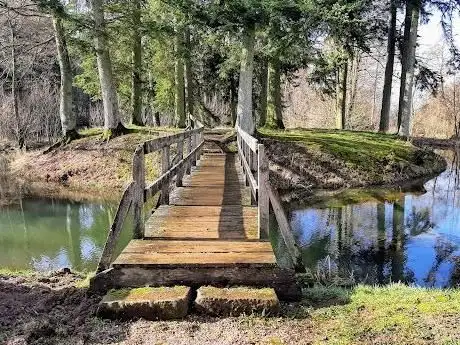 Photo de Motte Zehnbachhaus