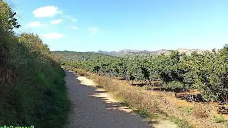 Photo de Senda del antic trenet