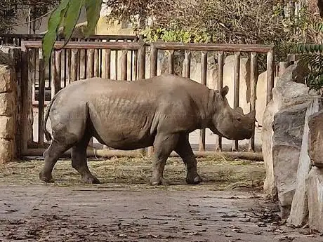 Photo of Dvůr Králové Zoo