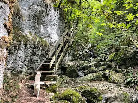 Photo de Gorges de Perrefitte