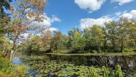 Photo de Refuge faunique national Missisquoi