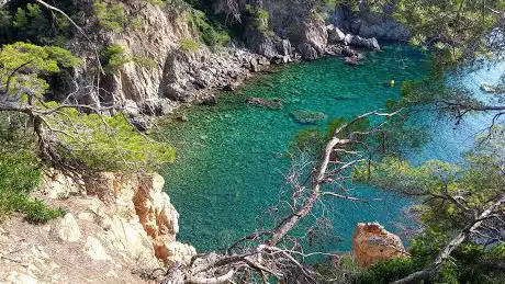 Photo de Camàde ronda Tamariu - Far de Sant SebastiÃ