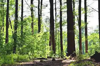 Photo de Caratunk Wildlife Refuge - Audubon Society of RI