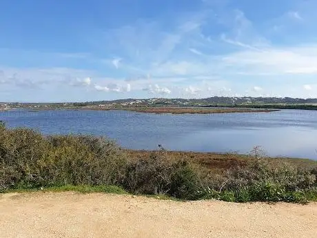 Photo de Flamingo's view point