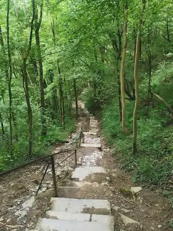 Photo de Promenade no7