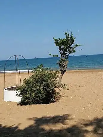Photo de Magna Graecia AMARE