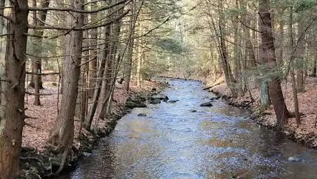 Photo de Amethyst Brook Conservation Area