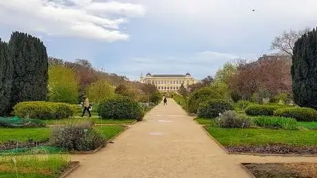 Photo de Jardin de roches et de pivoines