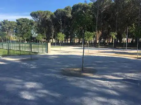 Photo de Nuevo Park