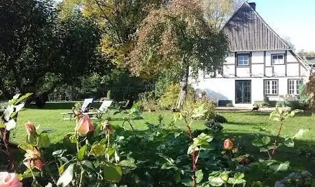 Photo de Welsh Cob Gestüt Llaun - Reiterhof
