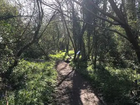 Photo of Tropical Birdland