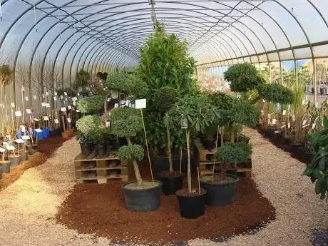 Photo de zu Klampen OHG