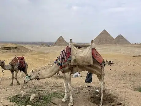 Photo de Giza  Egypt