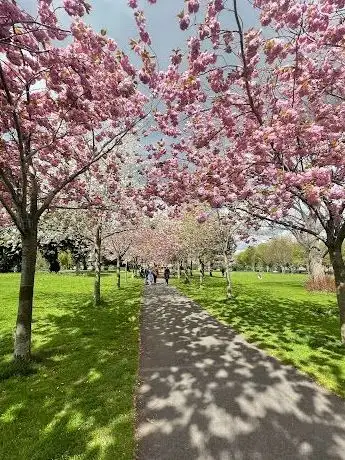 Herbert Park Playground
