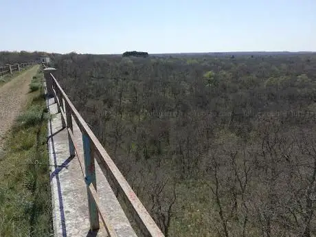 Photo de Bosco di Ruvo 
