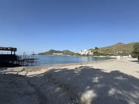 Photo de Ülkü Koyu