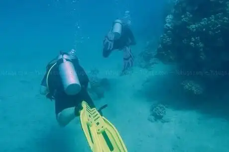 Photo de Nemo Dive Center