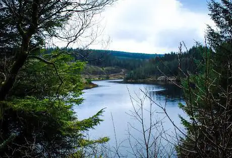 Banagher Glen forest park