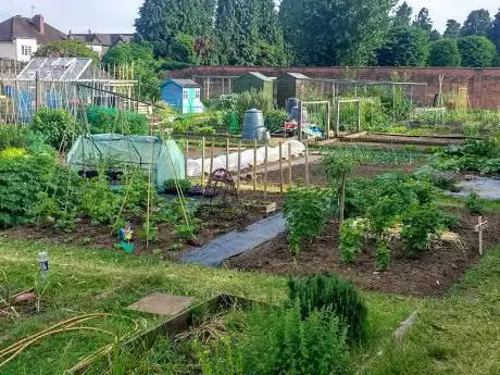 Photo de Hurst Road Allotment Association