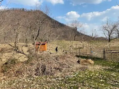 Photo de Mulino della Riva