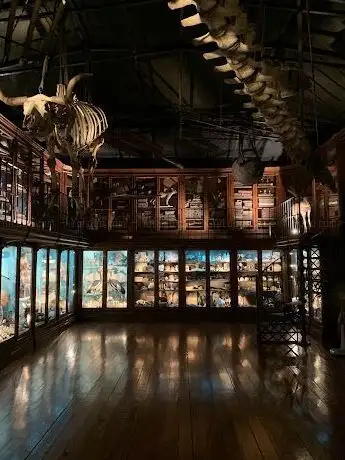 Photo de Cabinet of Curiosities (purchase ticket in person)