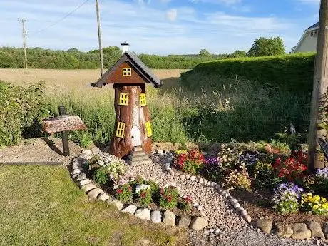 Photo de Fairy Bush