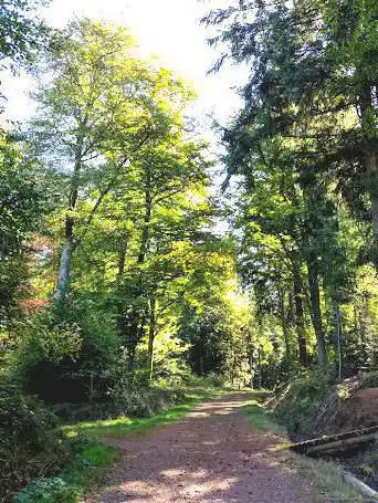 Foto de Parcours Sportif Chantraine