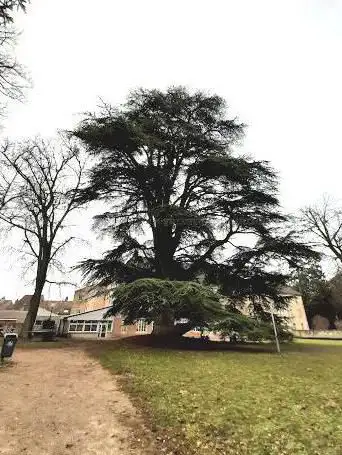 Photo de Promenade des Tilleuls