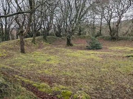 Photo de Ballyallaban Earthen Ringfort