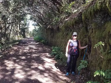 Photo de Sendero Bosque de los Enigmas
