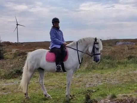 Photo de Moycullen Riding Centre
