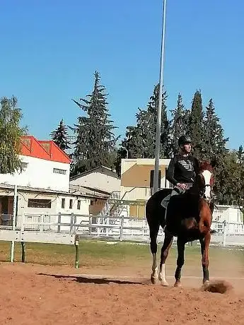 Photo de Club d'Equitation de Khouribga
