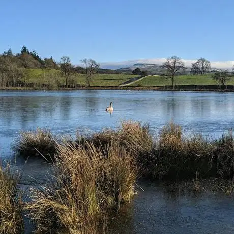 Photo de Pinker's Pond