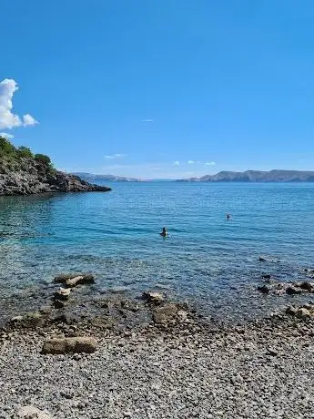 Photo de dog beach