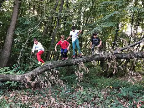 Photo de Area Turistica Attrezzata La Certosa