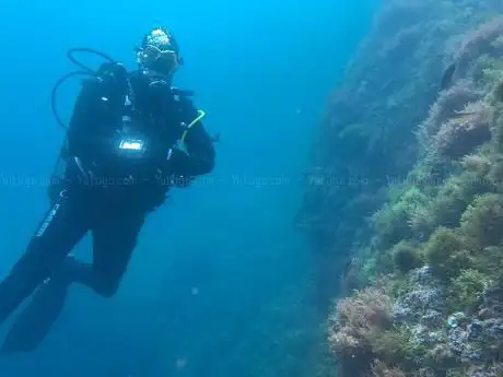 Photo de Calypso Diving Estartit SL