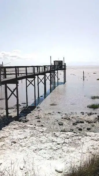 Photo de Banc de Dau