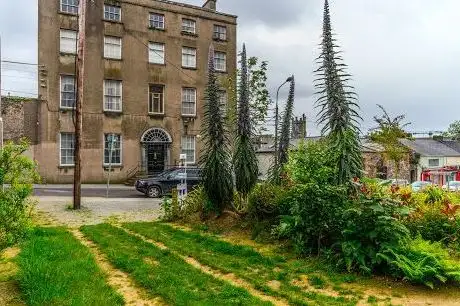 Photo de NEW STREET GARDEN