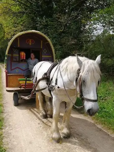 Photo de A l'Ouest roulottes et calèches
