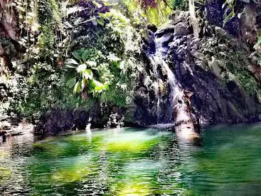 Photo de Pélican Safari