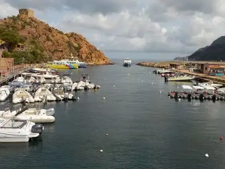Photo de Alpana excursions en mer