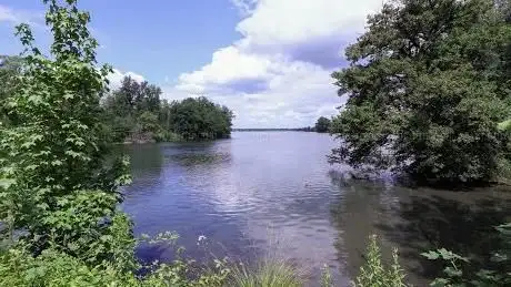Photo de Réserve naturelle nationale de la forêt d'Erstein