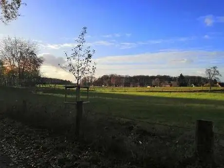Photo de Großsteingrab von Altenrheine