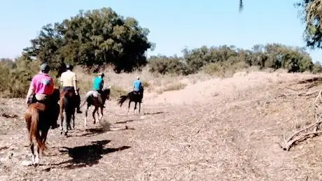 Photo de Horse Riding Services Agadir