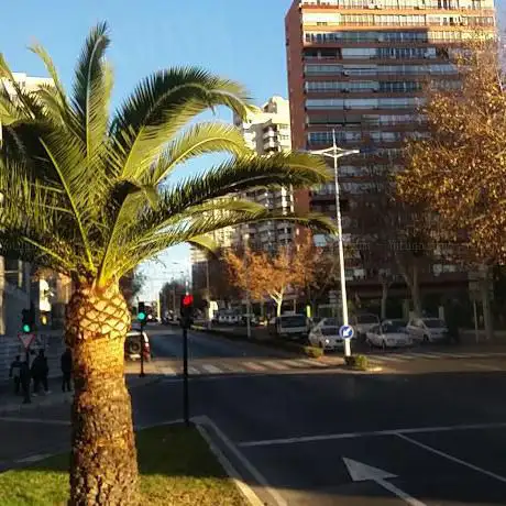 Photo de Benidorm Town